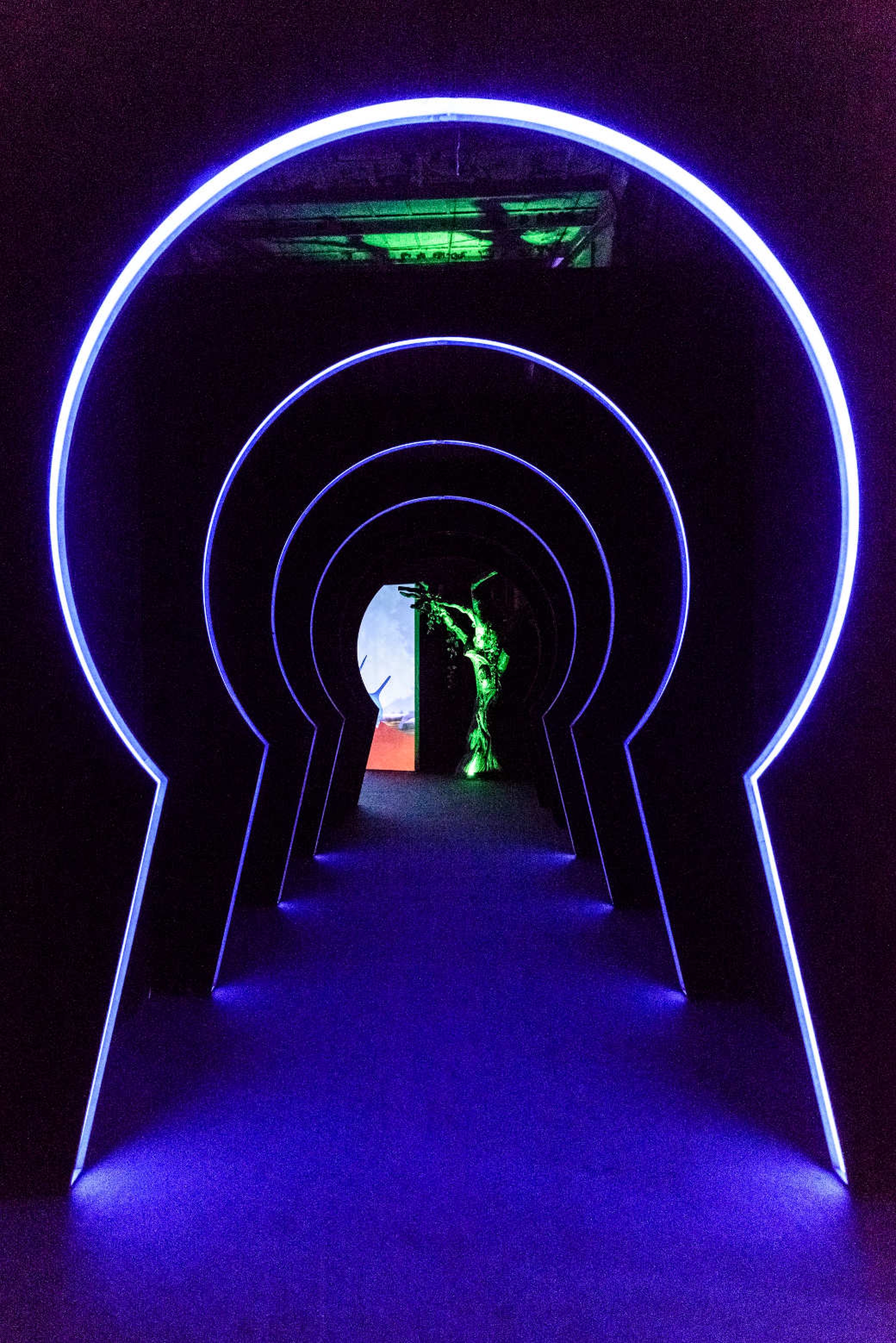 The Adventures of Alice