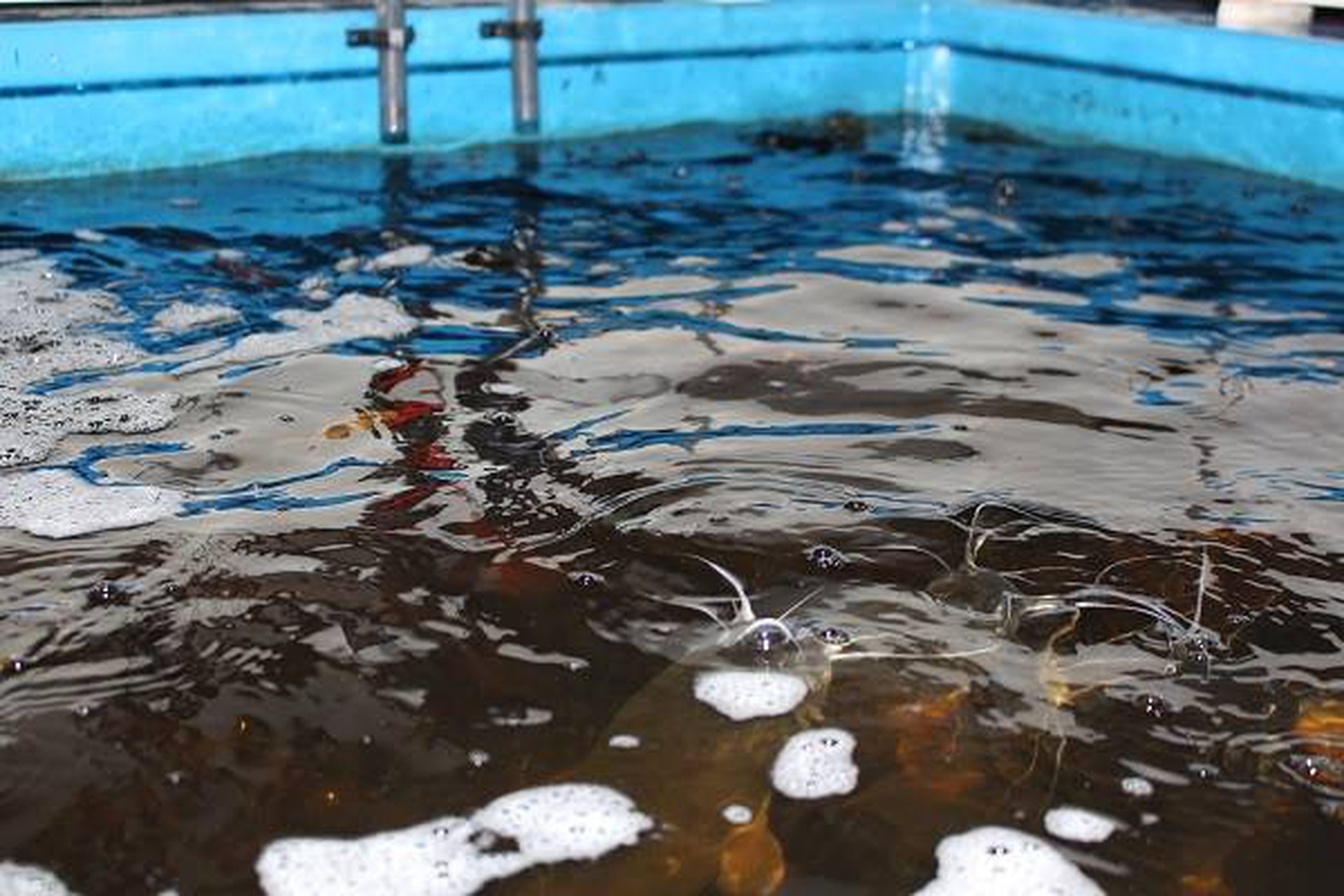 Inapro. Ecco la serra del futuro: non consuma acqua e non usa fertilizzanti