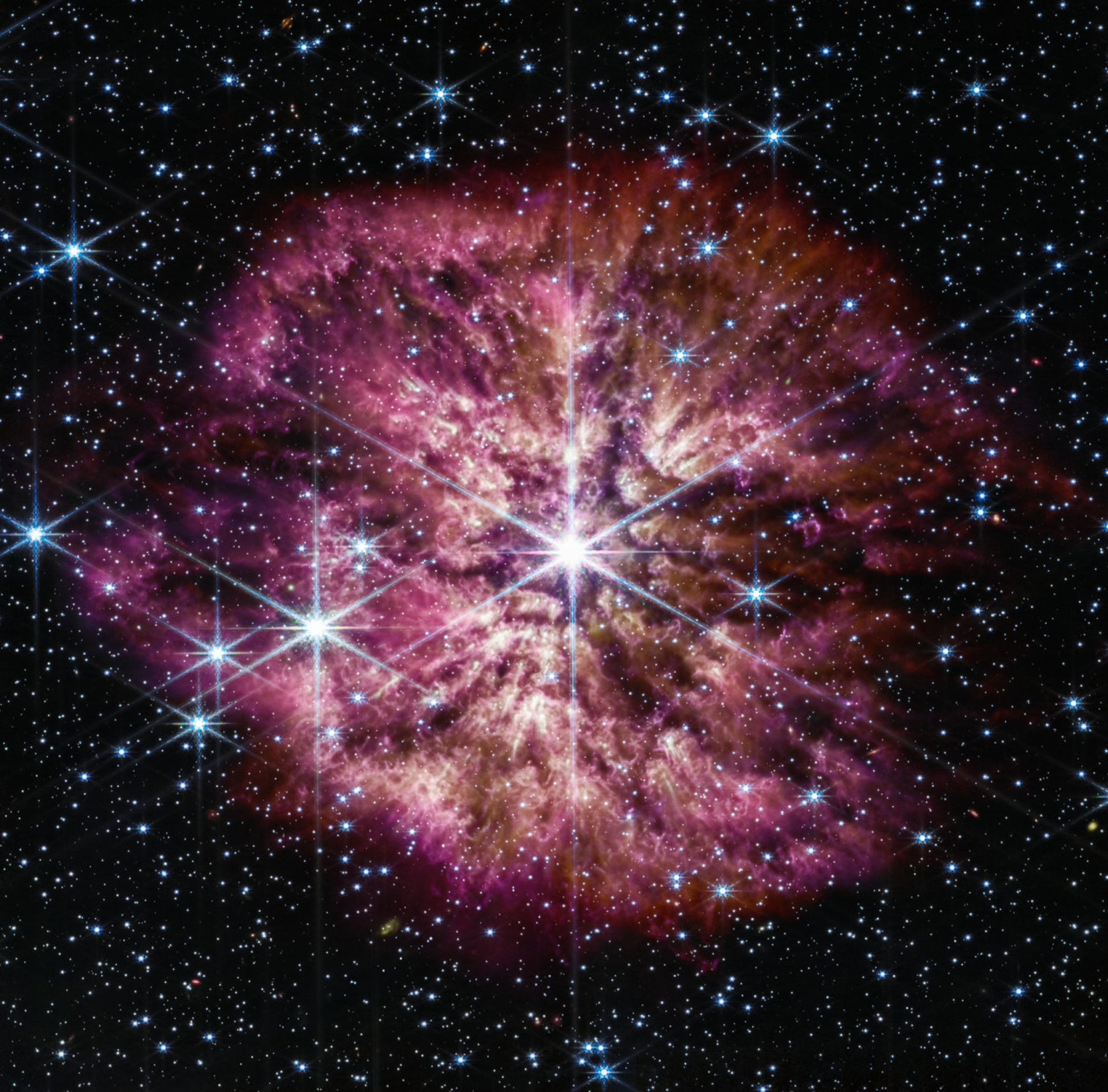 a rara visione di una stella Wolf-Rayet, tra le più luminose che esistono. Questa immagine era stata nominata “Sakura to Supernova”, perché il colore ricordava la fioritura dei ciliegi (sakura).