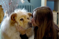 Gli angeli invisibili, il film sulla storia di un cane abbandonato di nome Ben