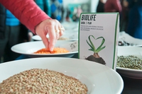 Tredici volte Biolife, l‘eccellenza biologica certificata
