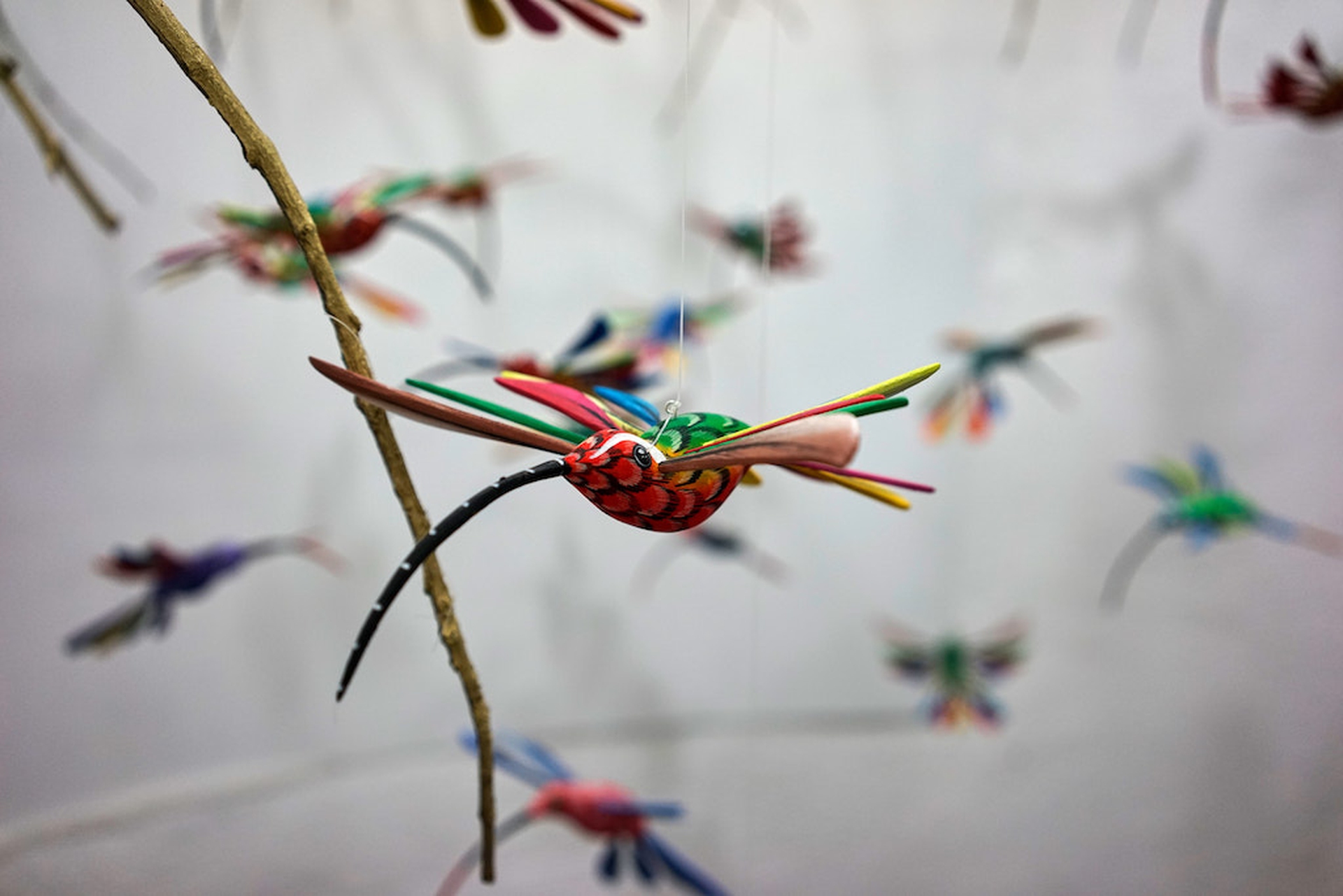 Alebrijes, carved by Angélico Jiménez