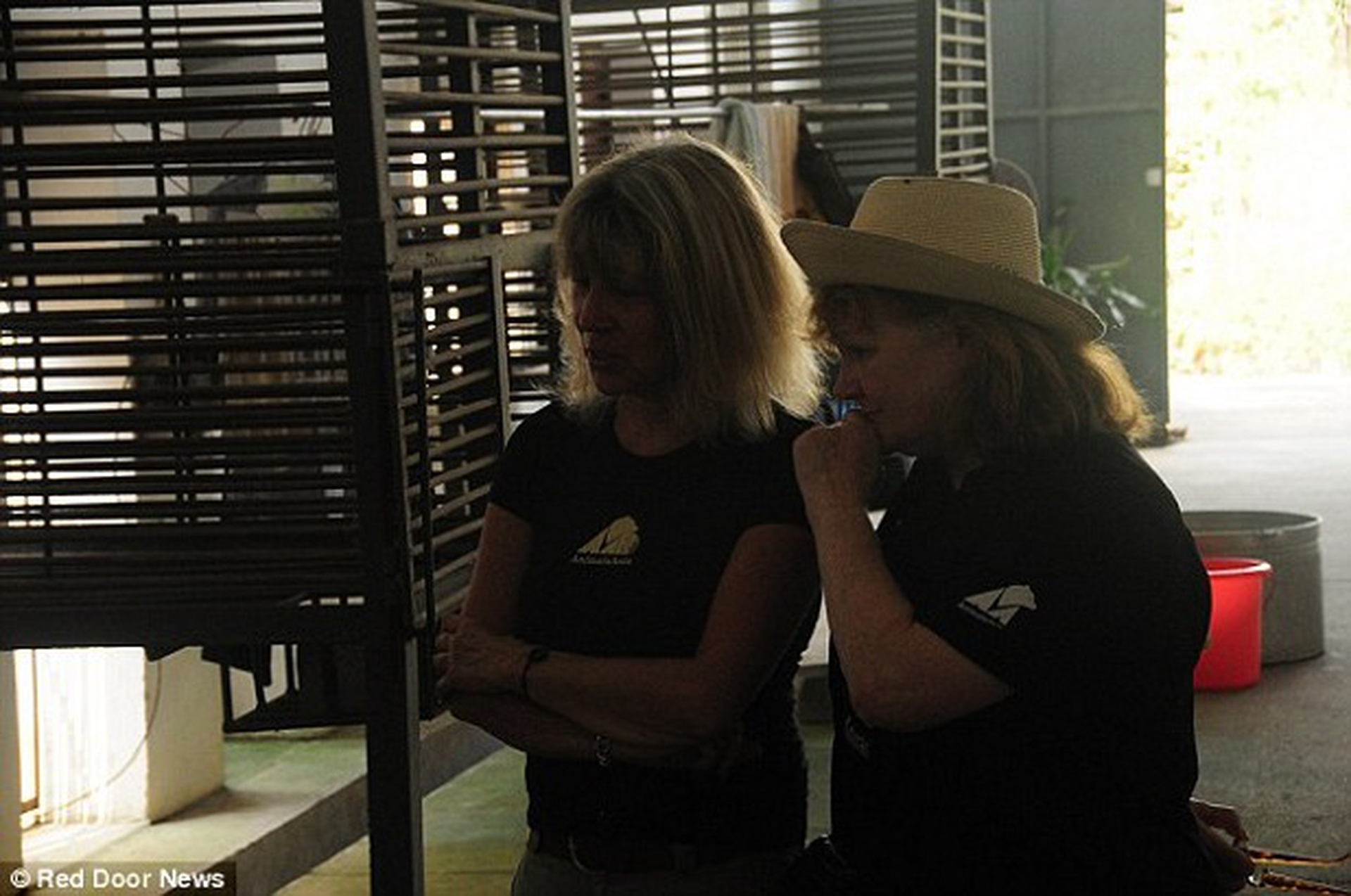 la fondatrice di Animal Asia, Jill Robinson