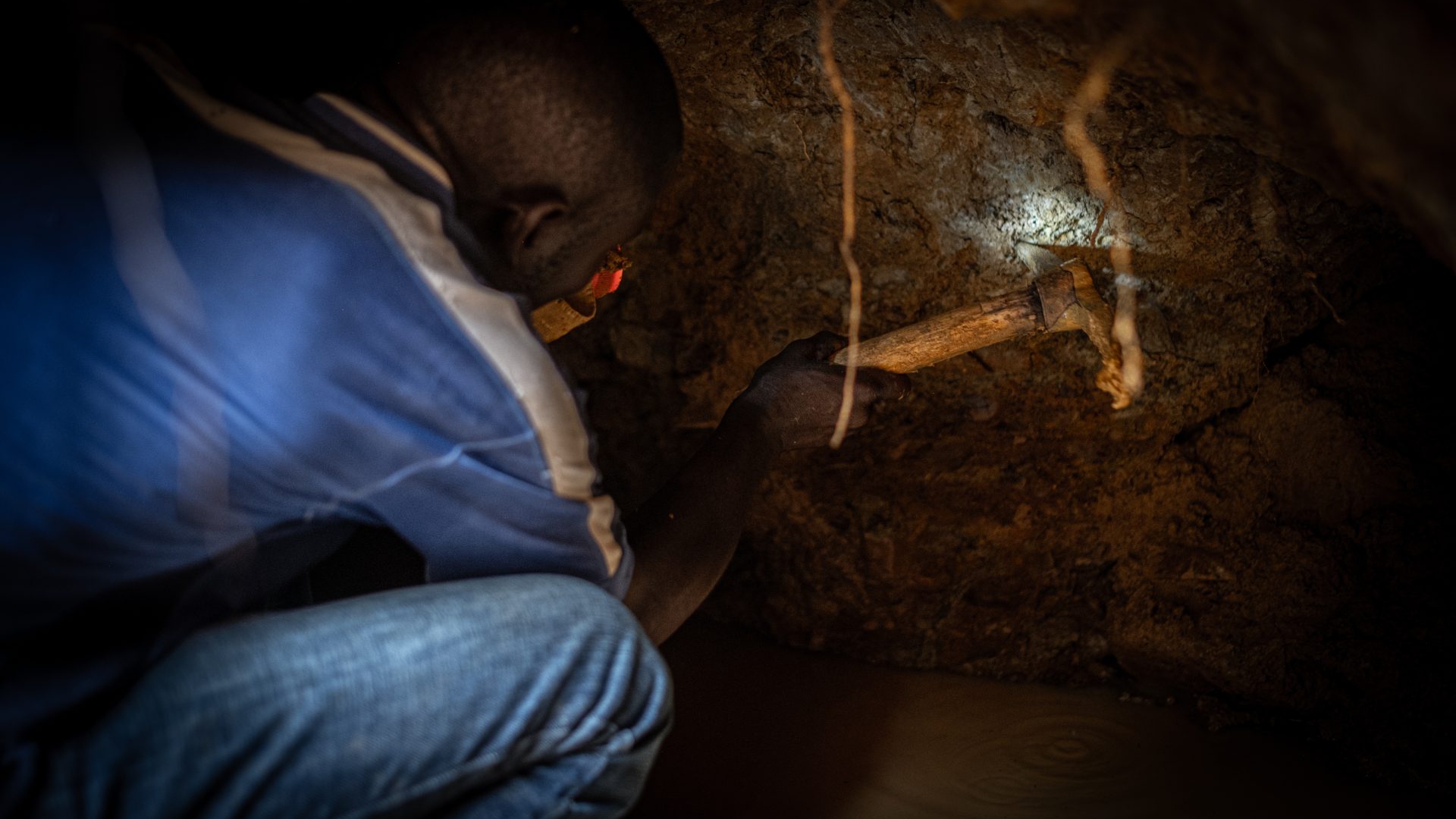 LongForm Sen Mau LifeGate-6