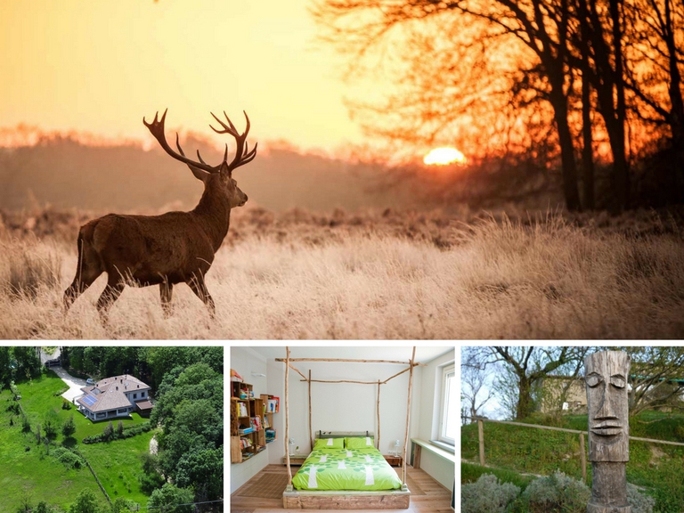 Il bed & breakfast eco-friendly e vegan Il Richiamo del Bosco (Emilia), e le case immerse nel verde della Libera Università di Alcatraz (Umbria).