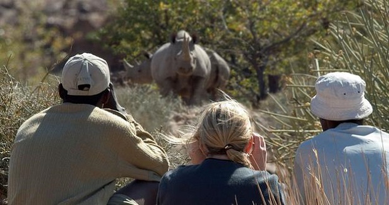 osservare rinoceronti