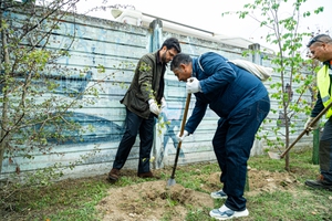 Ethos interramento Km Verde