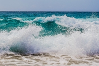 Dopo PlasticLess, la Water defenders alliance per difendere i mari da plastica, inquinamento chimico e fragilità degli habitat