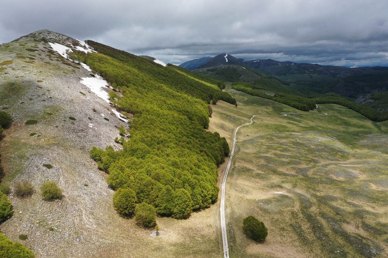 Foresta regionale di Chiarano-Sparvera