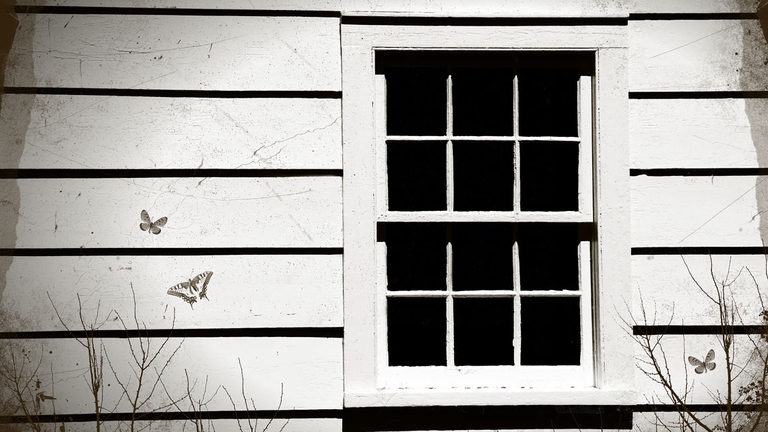 Le 12 finestre della floriterapia californiana non sono divisioni incompatibili, al contrario esse operano all’interno di un caleidoscopio in cui ciascuna prospettiva è unica, ma col cambiare dei colori ed il sovrapporsi delle strutture, queste si relazionano e si costruiscono l’una con l’altra. © Ingimage