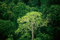 La biodiversità in 5 punti