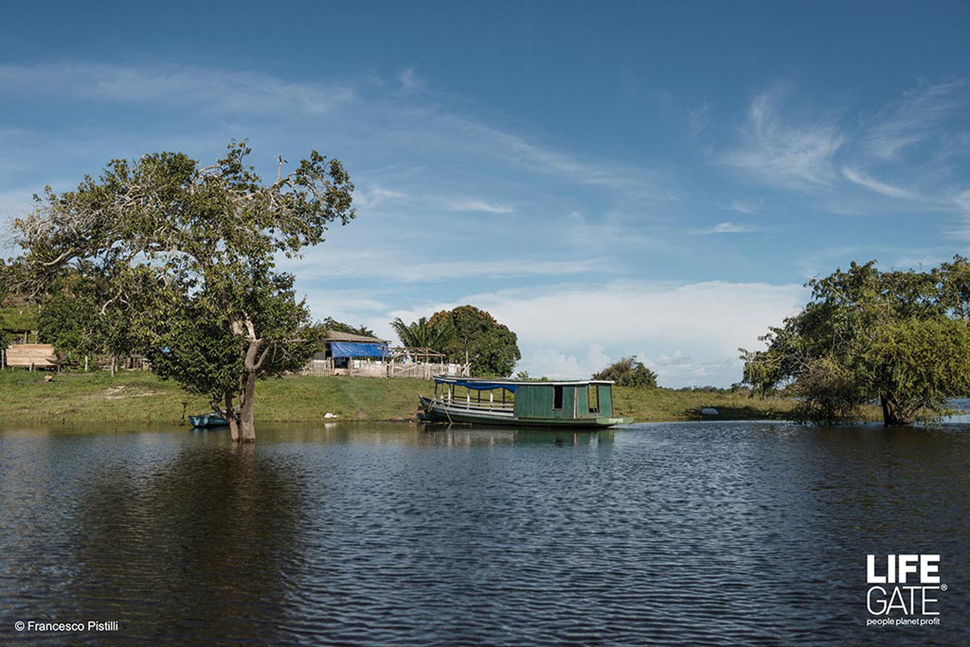 foreste-in-piedi-fiume