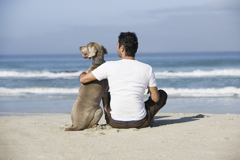 Uomo con il suo cane in spiaggia