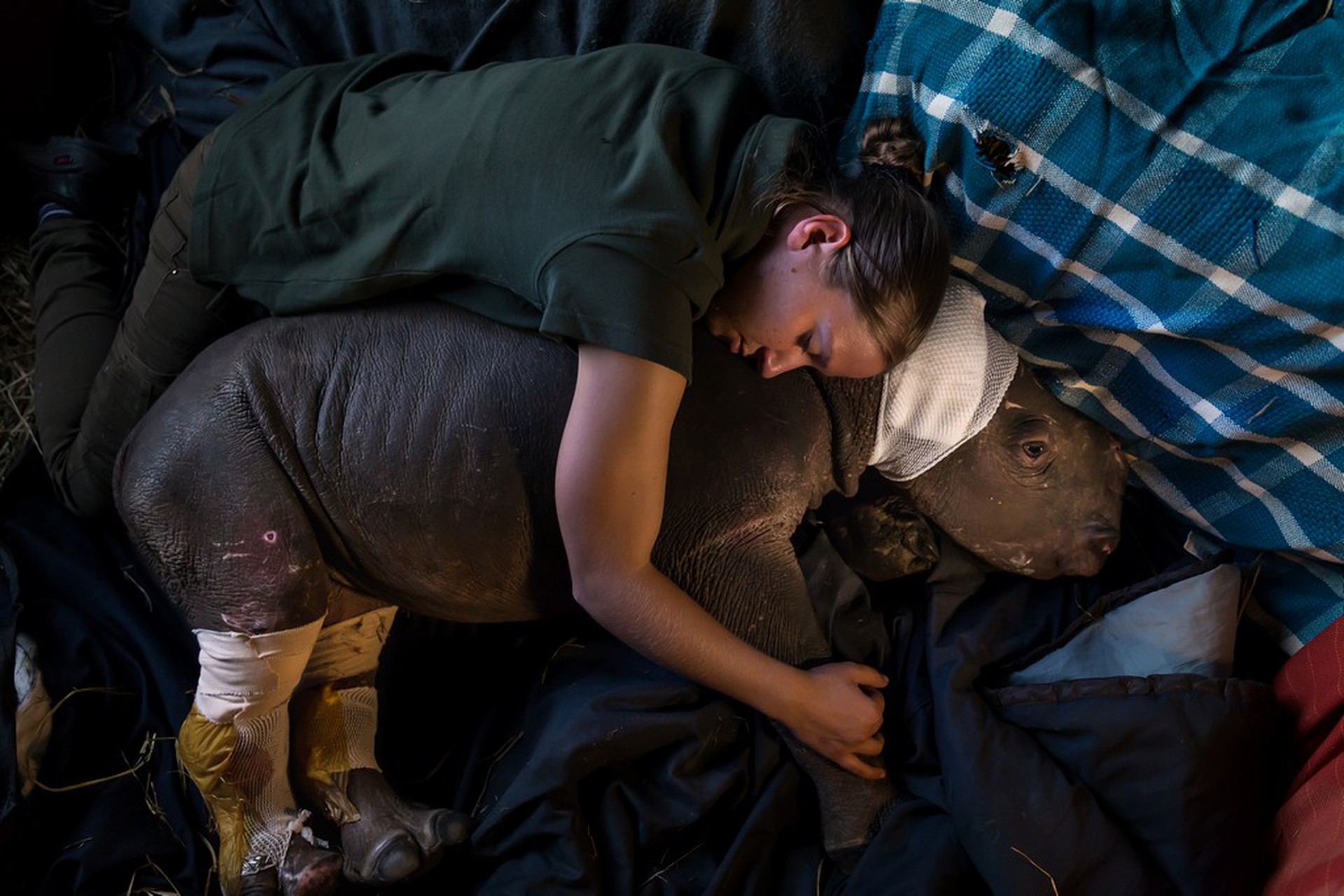Woman with baby rhino – Photographers against wildlife crime