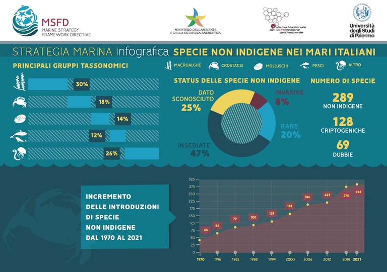 infografica suell specie aliene ispra