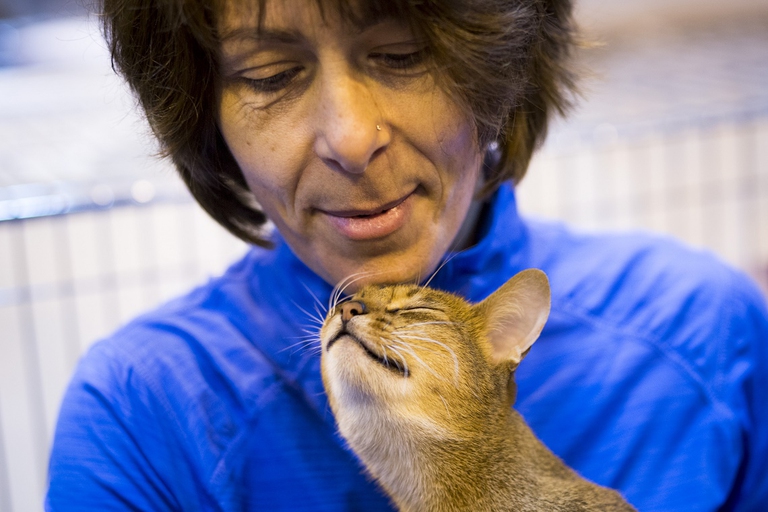 Gatto burmese in braccio alla sua padrona