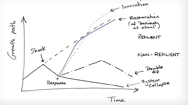 La resilienza è la capacità di resistere, adattarsi e riprendersi da un evento traumatico
