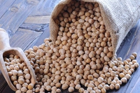 Ceci: proprietà nutrizionali e 6 ricette semplici per gustarli al meglio