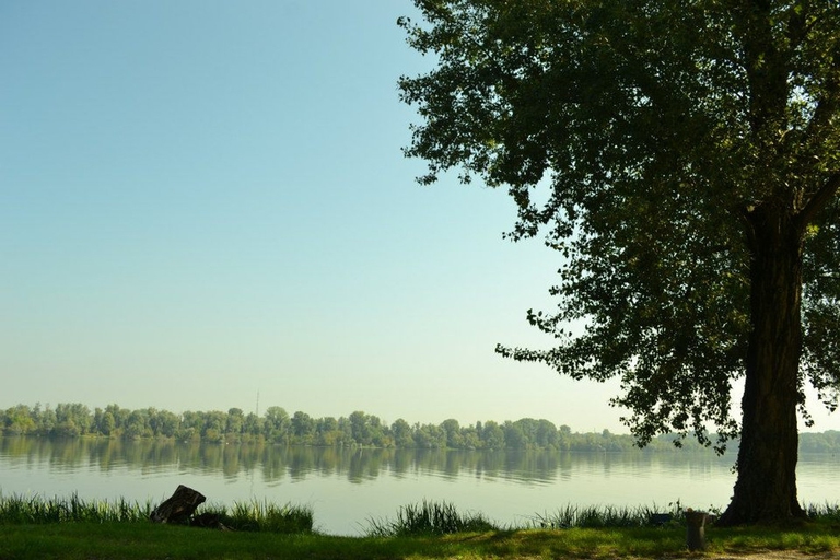 Mantova capitale italiana della cultura 2016