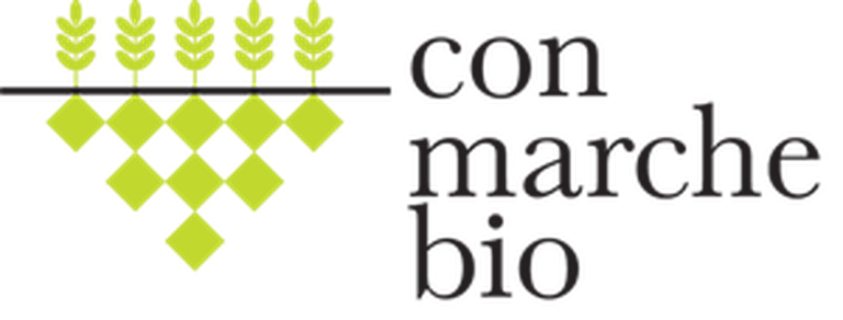 cmb-redazionale-2013-sxt-bassa300