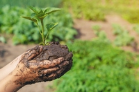 L’agroecologia porta anche benefici socio-economici, la conferma in uno studio