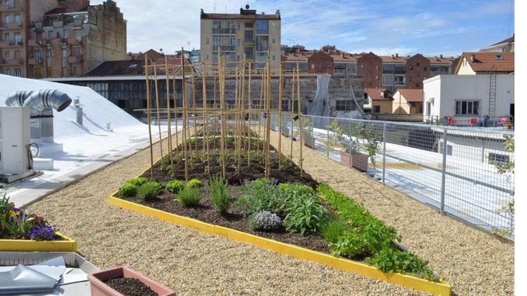 orti alti orti urbani