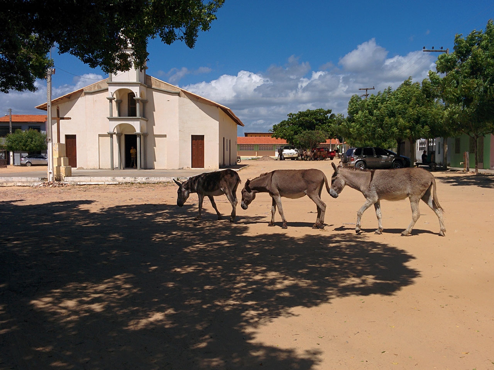 Brasile. Viaggio tra dune, villaggi di pescatori e spiagge infinite