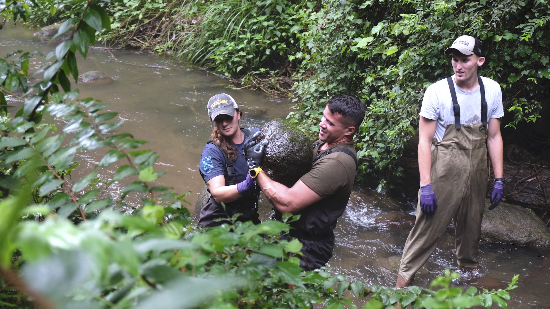 Japanese giant salamander ramp construction by Sustainable Daisen