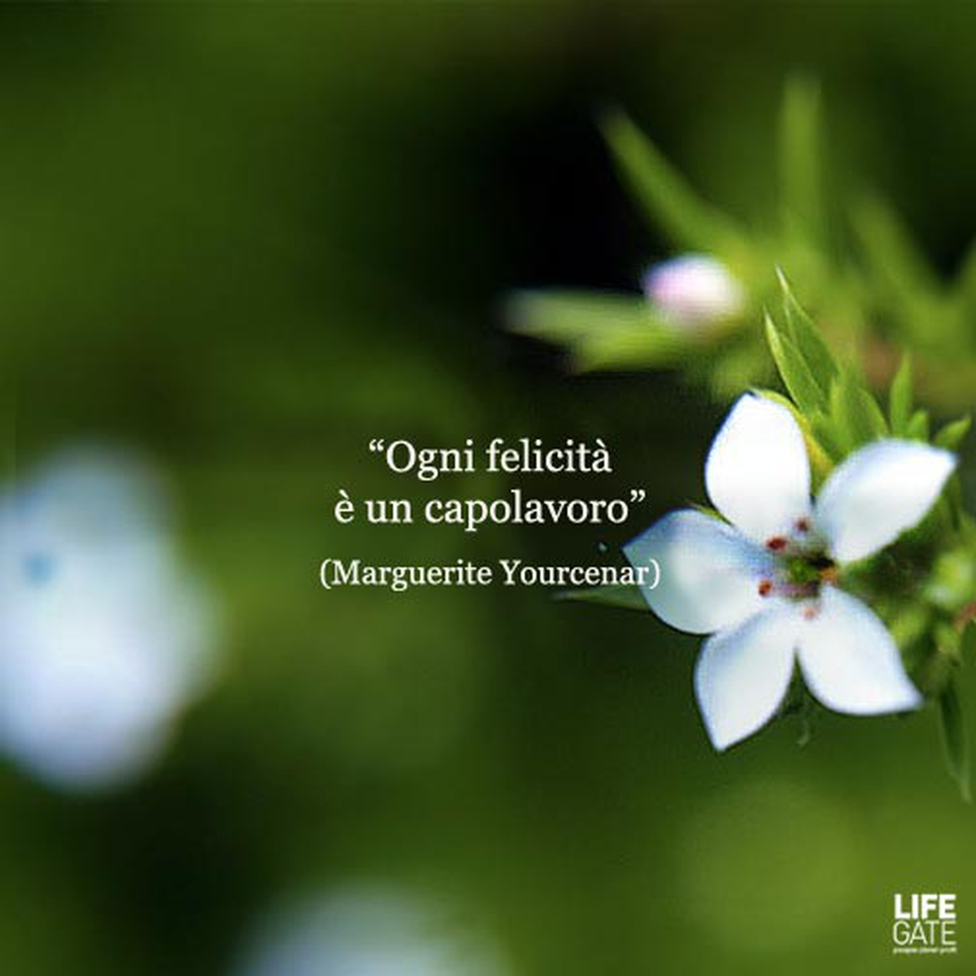 Le citazioni più belle per sempre - Marguerite Yourcenar