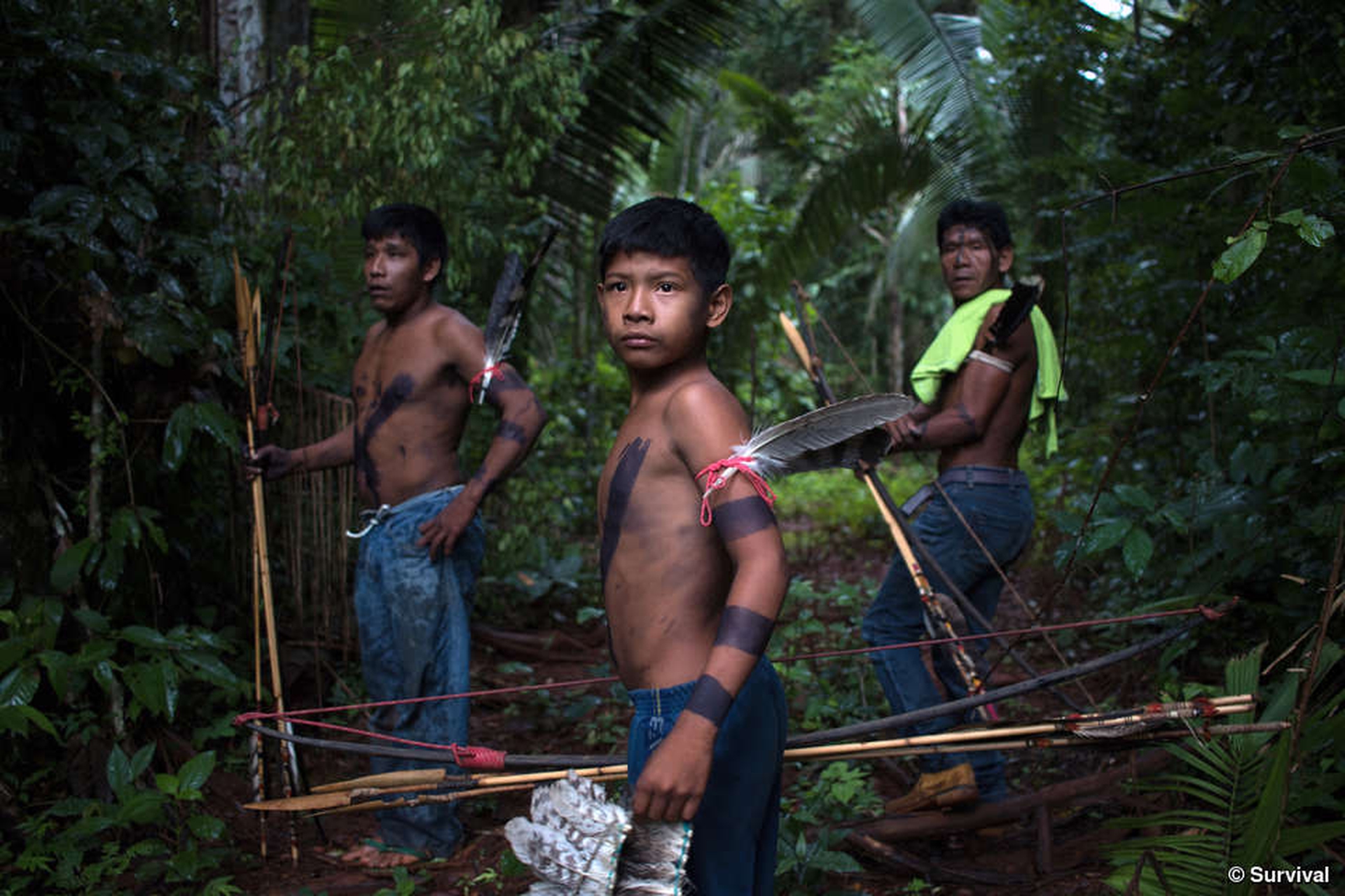 Survival International's 2020 calendar, Uru Eu Wau Wau