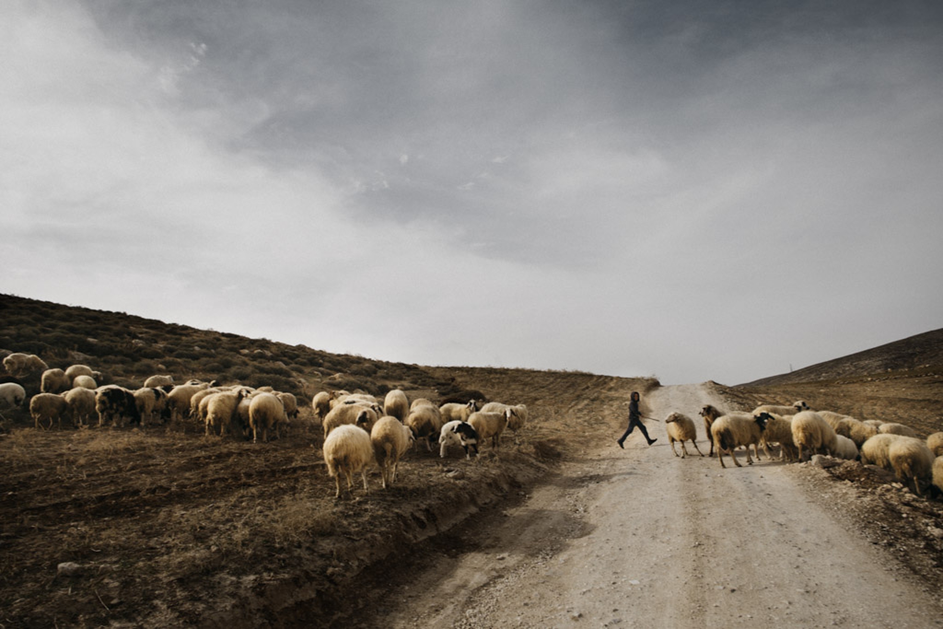 Water grabbing in the Israeli-Palestinian conflict