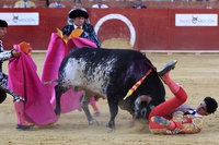 Spagna, torero ucciso dal toro durante la corrida