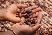 La chimica dei cibi afrodisiaci