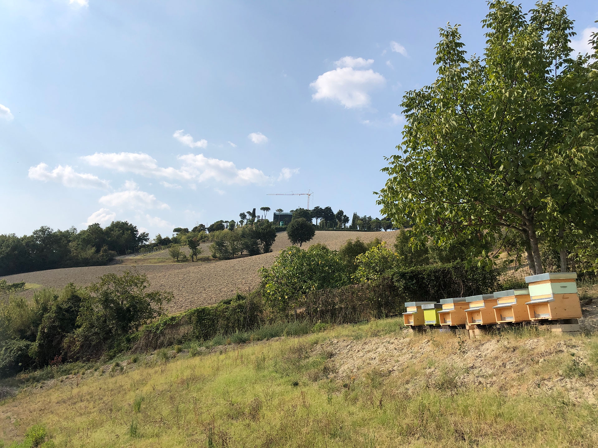 Ortofficina Oway sui colli bolognesi