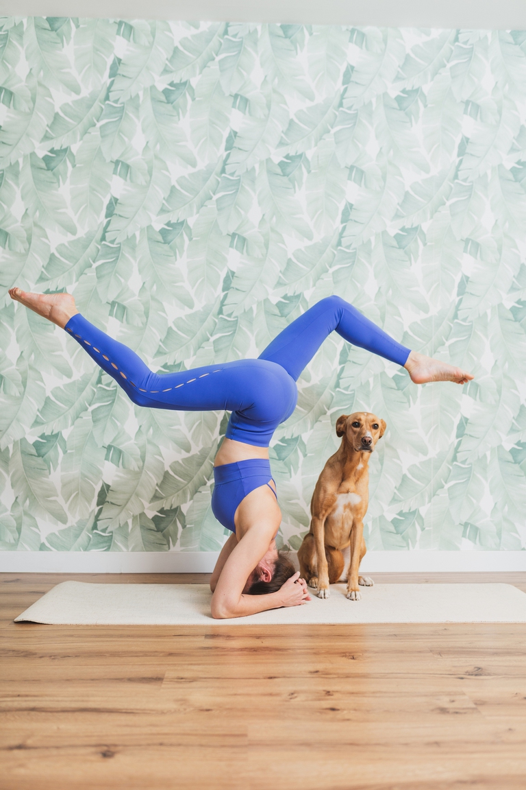 puppy yoga