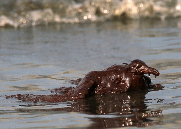 petrolio in mare ©Getty Images