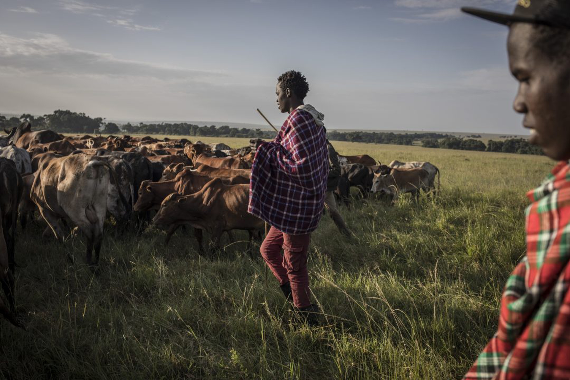 Drop In Wildlife Tourism Dents Conservation Funding In Kenya