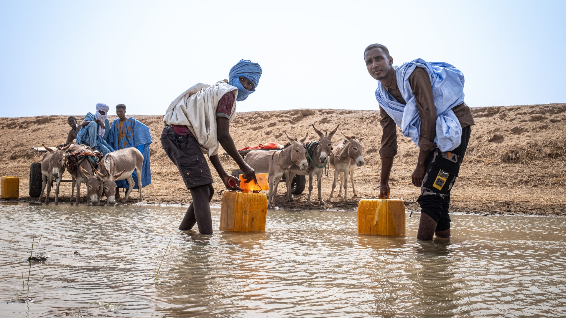 LongForm Sen Mau LifeGate-15