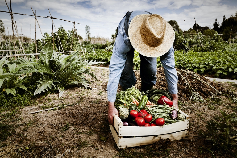 Made in Nature è finanziato dall'Unione Europea e da Cso Italy.