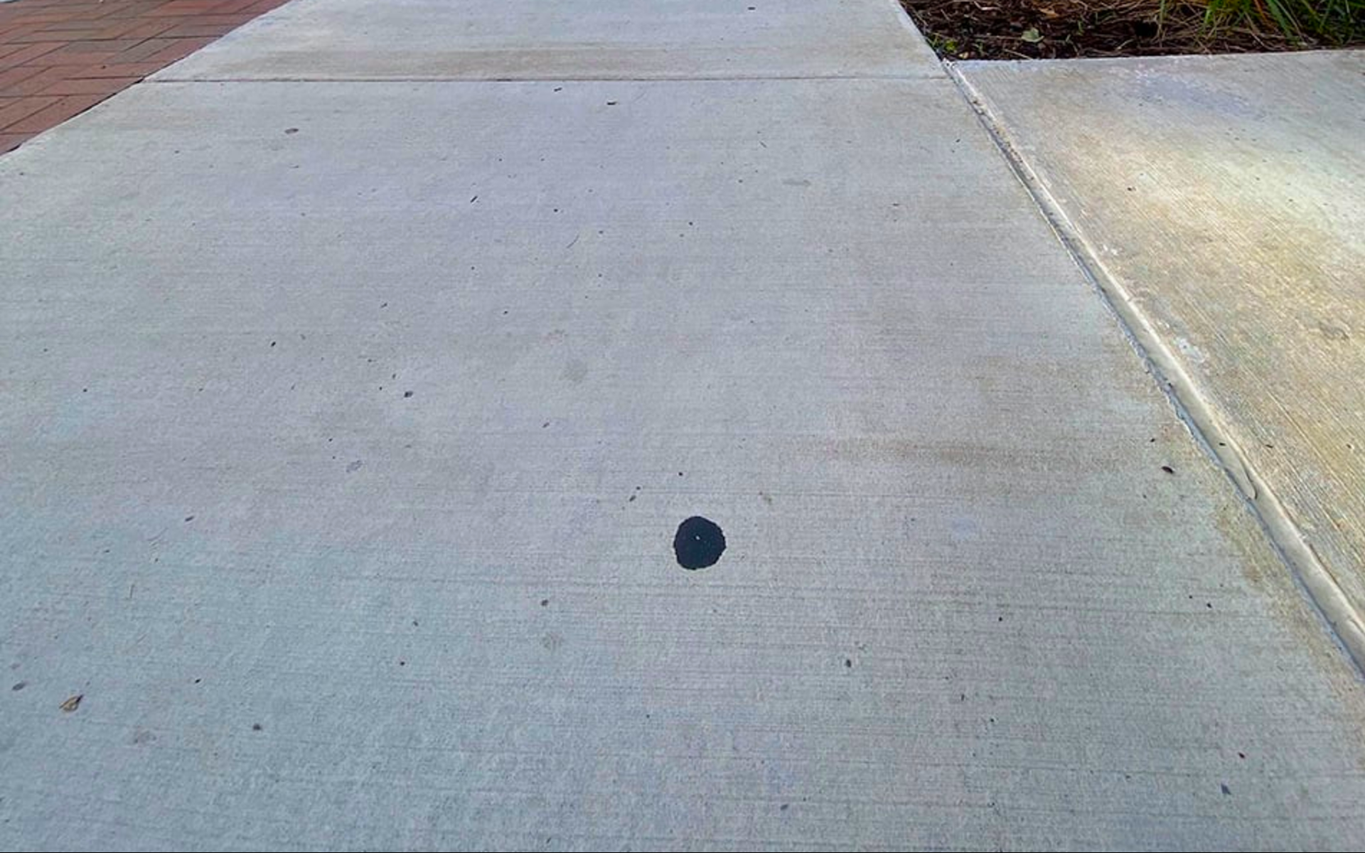 Per David Zinn una macchia sul marciapiede diventa l'ispirazione