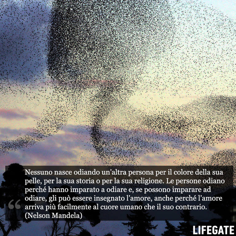 nelson mandela frasi citazioni