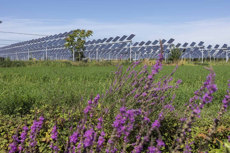 Agrivoltaico