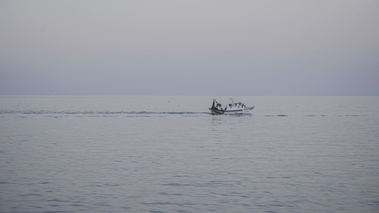 pesca nel Mediterraneo