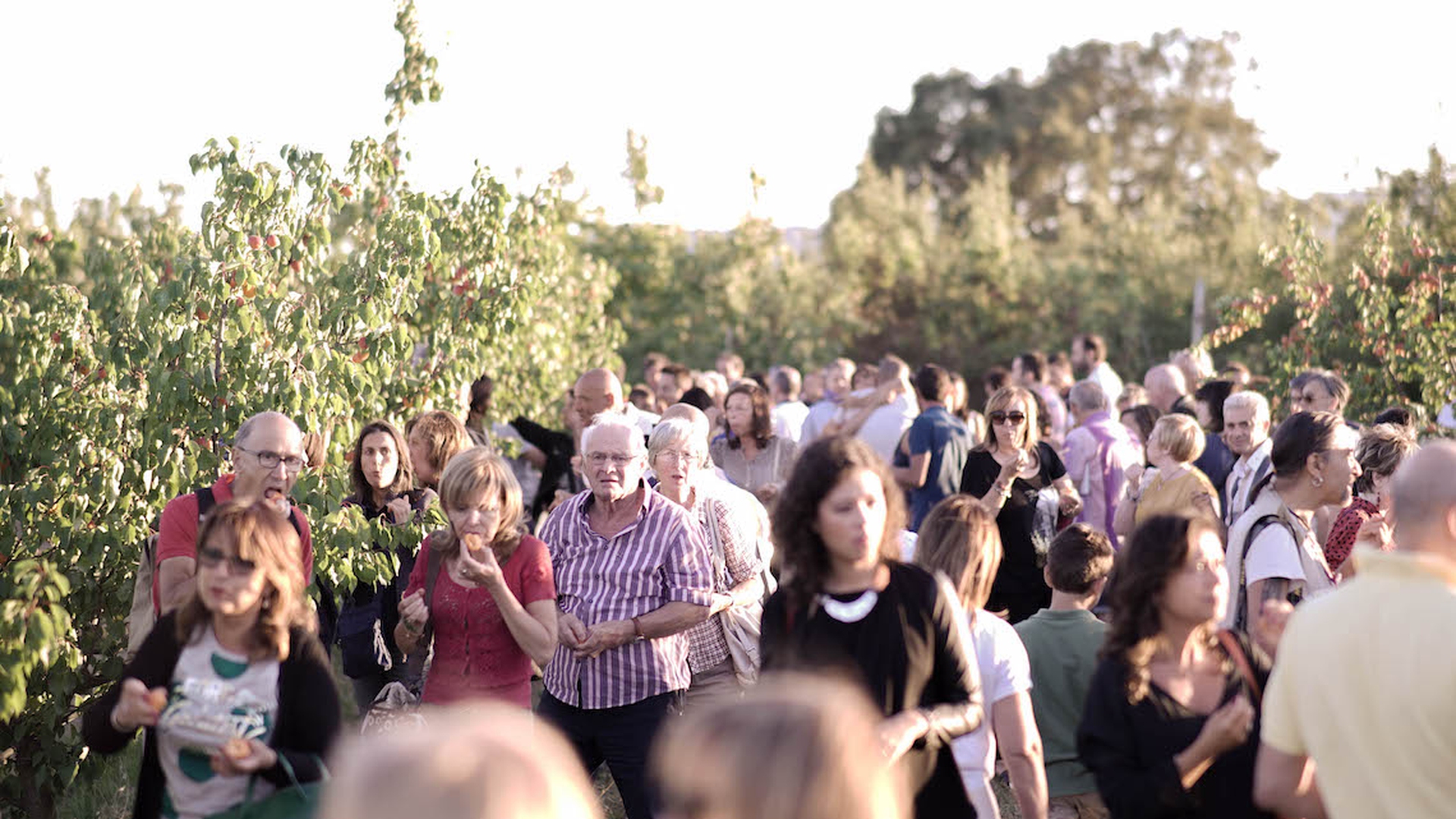 La seconda tappa di Campi da sapere di Alce Nero: la frutta