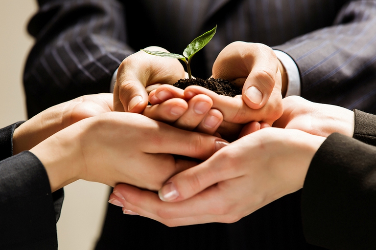 mani-pianta-imprenditori