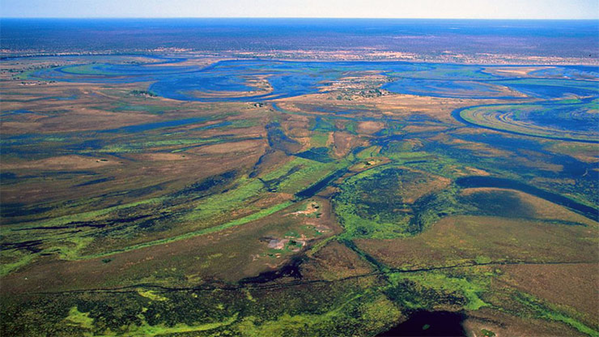 È il Delta dell’Okavango la millesima meraviglia del mondo - LifeGate