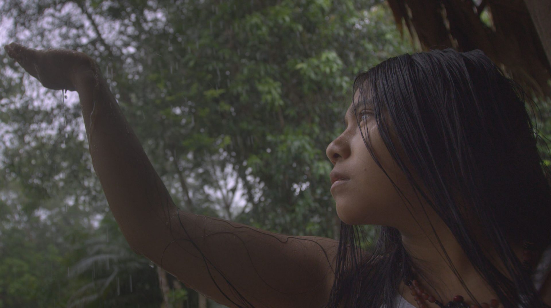 The magnitude of all things