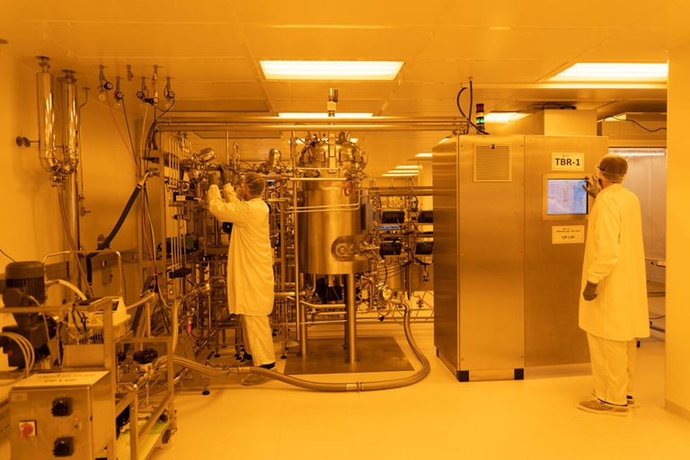 carne coltivata bovino