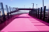 Questa pista ciclabile rosa in Nuova Zelanda ha stupito il mondo