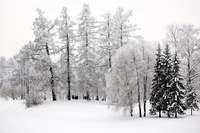 8 motivi per cui la neve ci rende felici